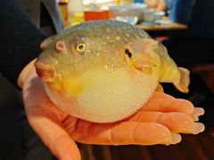 -永安鱼庄·镇江菜(丁卯店)