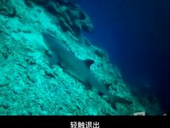 -马达京岛
