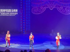 -珠海横琴长隆《卡卡虎奇遇记》