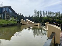 -东平国家森林公园