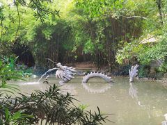 -汇龙潭