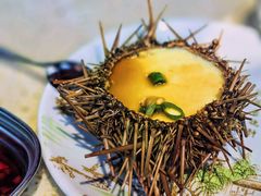 -蚝堡·生蚝海鲜烧烤物种起源•海肠捞饭(刘公岛店)