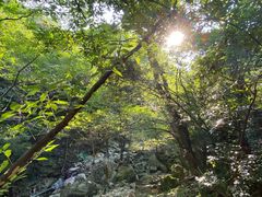 -罗田天堂寨风景区