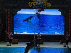 -皇家海洋乐园