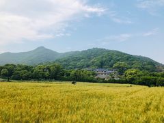 -东海半边山旅游度假区