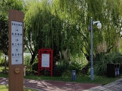 -九科绿洲