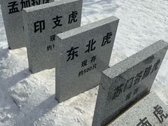 -横道河子东北虎林园