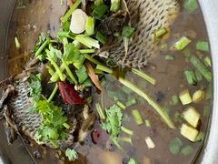 -风鑫铃罗非鱼(道沟店)