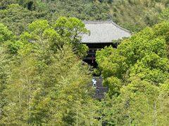 -大唐贡茶院