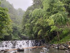 -石台牯牛降景区