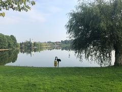 -云南滇池花园国际大酒店温泉