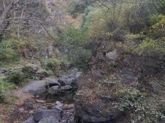 -云岫谷游猎自然风景区