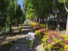 -盛世南宫影视城(北普陀影视城)