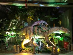 -恐龙探索乐园(磁器口店)