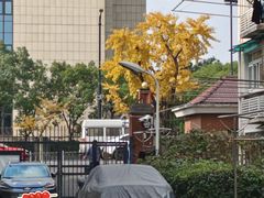 -同济大学四平路校区游泳馆