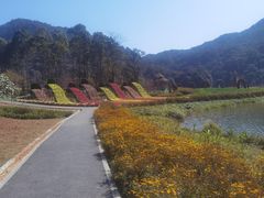 -广州市石门国家森林公园
