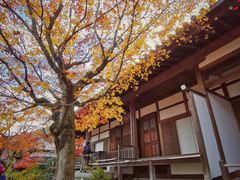 -常寂光寺
