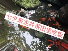 -野蔓果·山野菜(西湖景区·龙井茶田店)