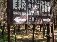 -红螺寺