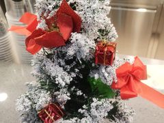 -TPLUS茶家(浦电路店)