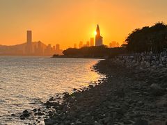 -深圳湾公园(南山区)