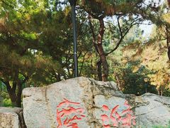 -玲珑塔公园