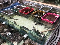 -滑记海鲜饭店·老字号(海鲜街店)