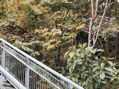 -佛山华盖山公园