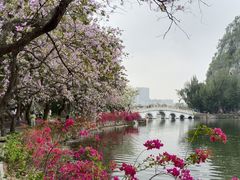 -星湖旅游景区七星岩