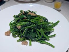 -大鸽饭(岗顶店)