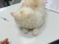 -宠颐生宠物医院(·宠保定点·鹰潭分院)