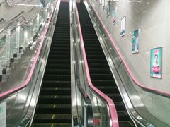 -大龙山(地铁站)