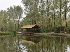 -溱湖国家湿地公园