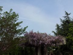 景点-白塘生态植物园