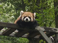-荆州中山公园动物园