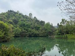 -常德桃花源景区