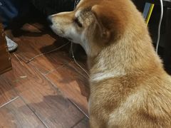 -About Bistro關於·泰式家庭料理