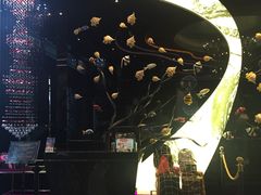 -厦门泰谷酒店(中山路镇海路地铁站店)