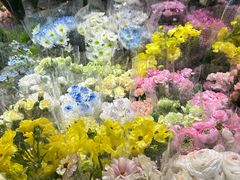 -循礼门鲜花花市(武汉循礼门店)