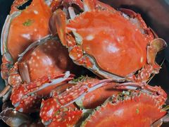 -岳各庄批发市场(西四环中路店)