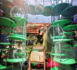 -恐龙探索乐园(磁器口店)