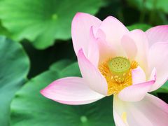 -南戴河国际娱乐中心