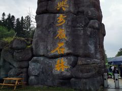 -汤旺河林海奇石景区