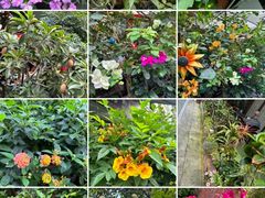 -山水茶艺馆·点心粤菜·30年老字号