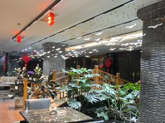 -新廊桥(原科华廊桥店)