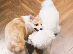 -NRG 健身私教CLUB(云山路店)