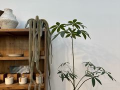 -自由生长植物工作室(深港花卉中心店)