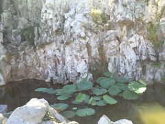 -菊花台公园