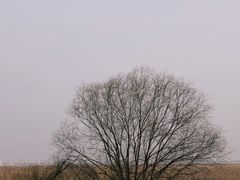 -双山岛
