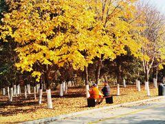 -长春世界雕塑园冰雪艺术天地